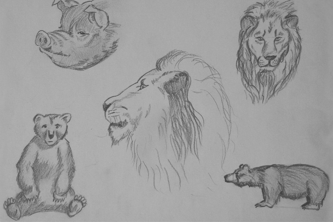 Kuvituskuva, lyijykynäpiirroksia