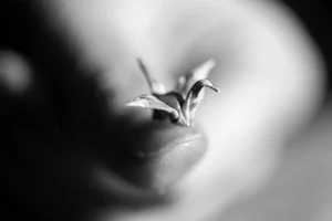 Miniatyyriorigami. Tekijä Kaija Toivakka. Kuvaaja Marko Toivakka